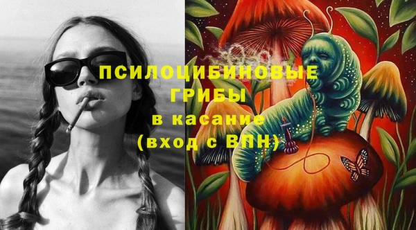молекула духа Алексин