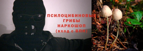 молекула духа Алексин
