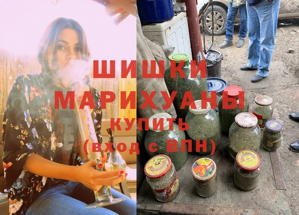 молекула духа Алексин