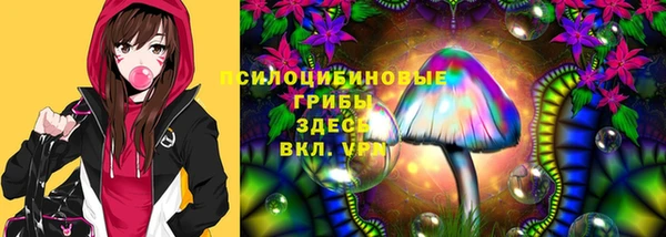 молекула духа Алексин
