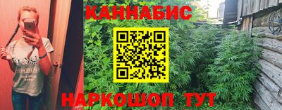 индика Донской