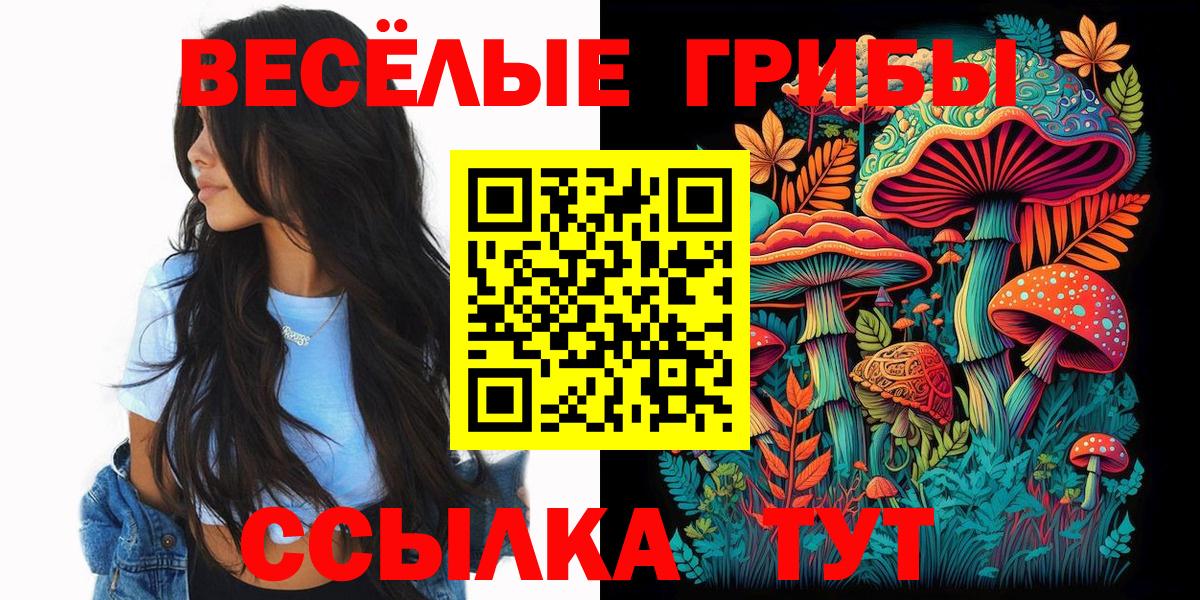 Псилоцибиновые грибы Cubensis Петрозаводск
