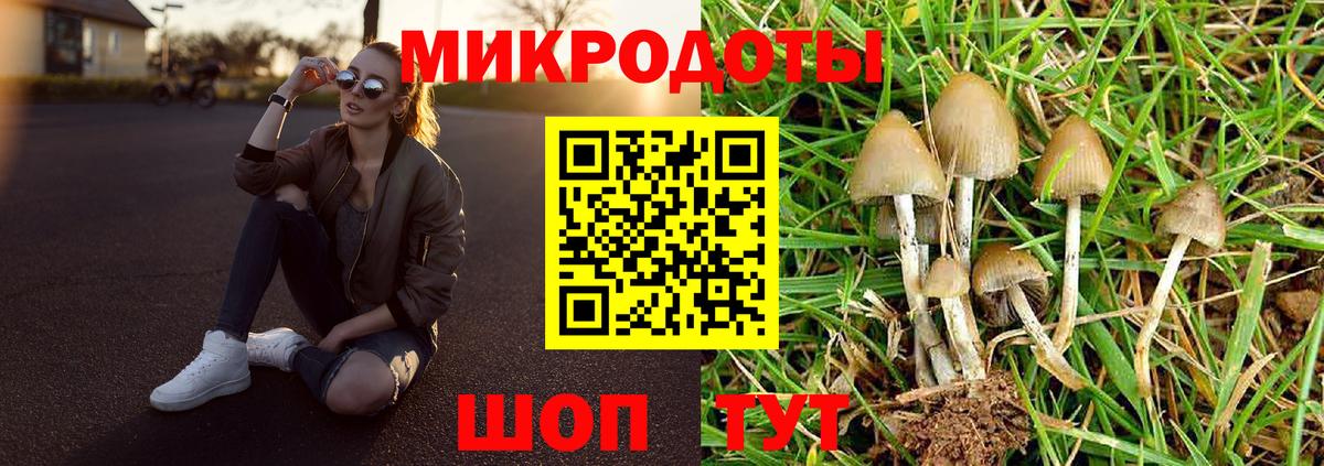 ГАШИШ Петрозаводск